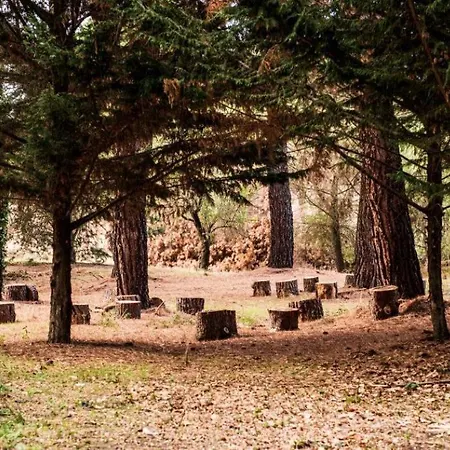 El Huerto De Fray Luis De Leon * Cabrerizos
